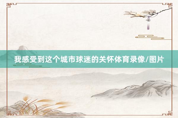 我感受到这个城市球迷的关怀体育录像/图片