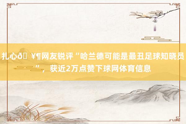 扎心🥶网友锐评“哈兰德可能是最丑足球知晓员”，获近2万点赞下球网体育信息