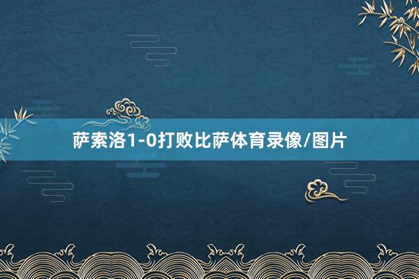 萨索洛1-0打败比萨体育录像/图片