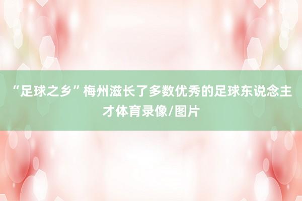 “足球之乡”梅州滋长了多数优秀的足球东说念主才体育录像/图片