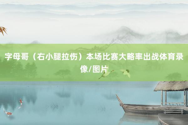 字母哥（右小腿拉伤）本场比赛大略率出战体育录像/图片