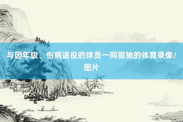 与因年级、伤病退役的球员一同驱驰的体育录像/图片