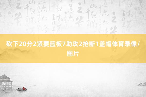 砍下20分2紧要篮板7助攻2抢断1盖帽体育录像/图片