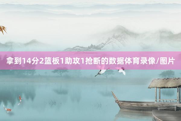 拿到14分2篮板1助攻1抢断的数据体育录像/图片