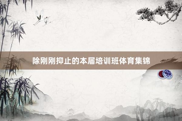 除刚刚抑止的本届培训班体育集锦