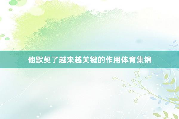 他默契了越来越关键的作用体育集锦