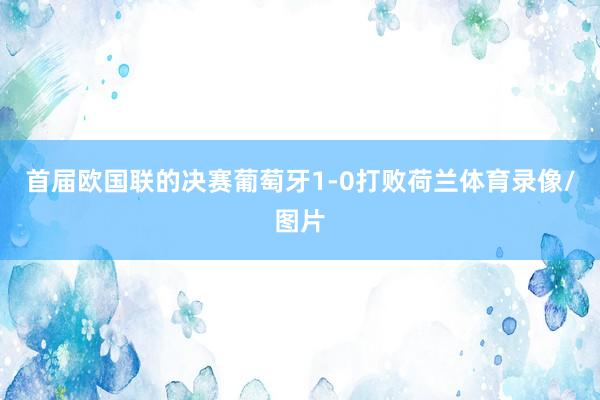 首届欧国联的决赛葡萄牙1-0打败荷兰体育录像/图片