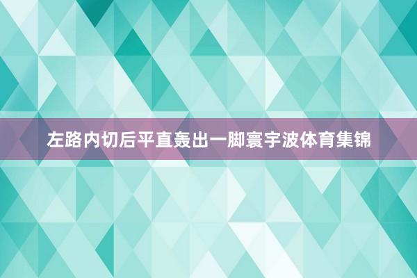 左路内切后平直轰出一脚寰宇波体育集锦