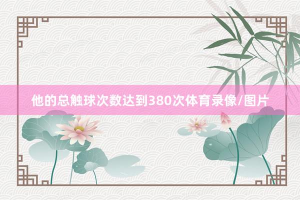 他的总触球次数达到380次体育录像/图片