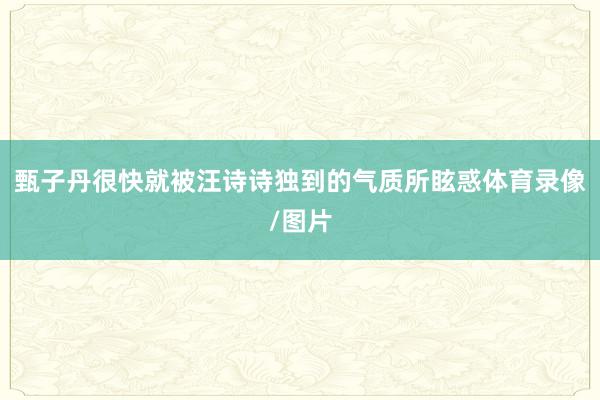 甄子丹很快就被汪诗诗独到的气质所眩惑体育录像/图片
