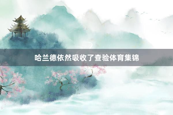 哈兰德依然吸收了查验体育集锦