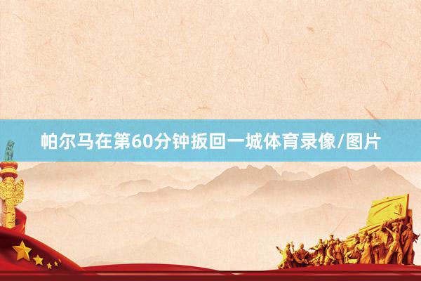 帕尔马在第60分钟扳回一城体育录像/图片