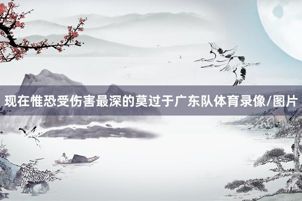 现在惟恐受伤害最深的莫过于广东队体育录像/图片