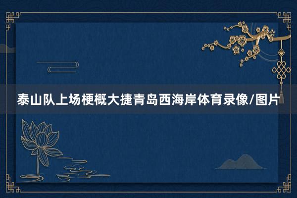 泰山队上场梗概大捷青岛西海岸体育录像/图片