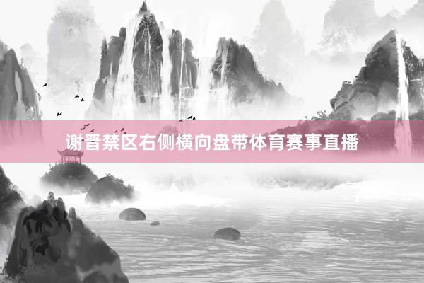 谢晋禁区右侧横向盘带体育赛事直播