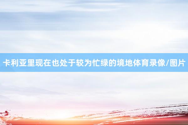 卡利亚里现在也处于较为忙绿的境地体育录像/图片