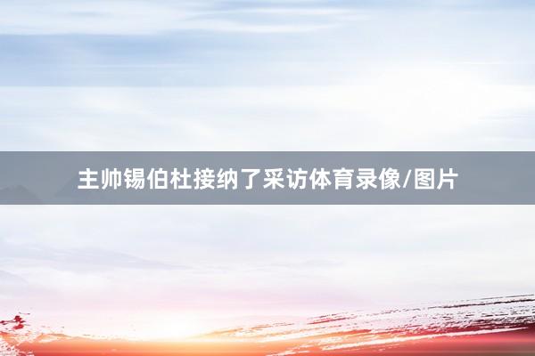 主帅锡伯杜接纳了采访体育录像/图片