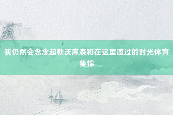 我仍然会念念起勒沃库森和在这里渡过的时光体育集锦