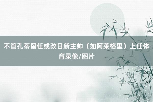 不管孔蒂留任或改日新主帅（如阿莱格里）上任体育录像/图片