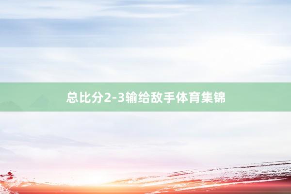 总比分2-3输给敌手体育集锦