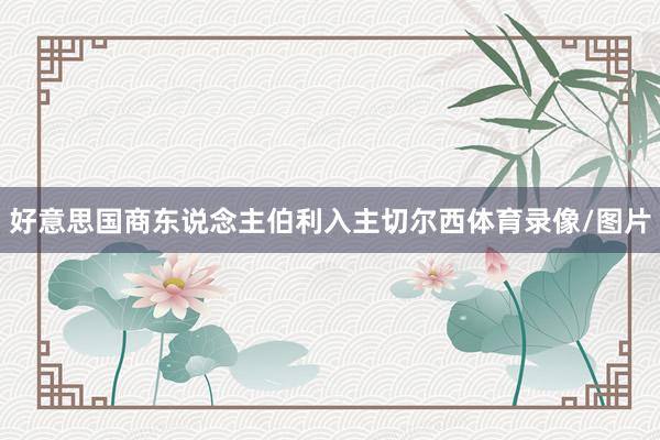 好意思国商东说念主伯利入主切尔西体育录像/图片