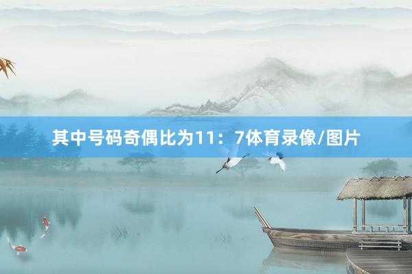其中号码奇偶比为11：7体育录像/图片