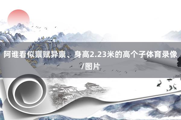 阿谁看似禀赋异禀、身高2.23米的高个子体育录像/图片