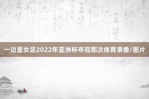 一边是女足2022年亚洲杯夺冠那次体育录像/图片