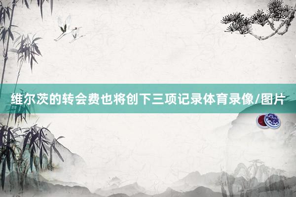 维尔茨的转会费也将创下三项记录体育录像/图片