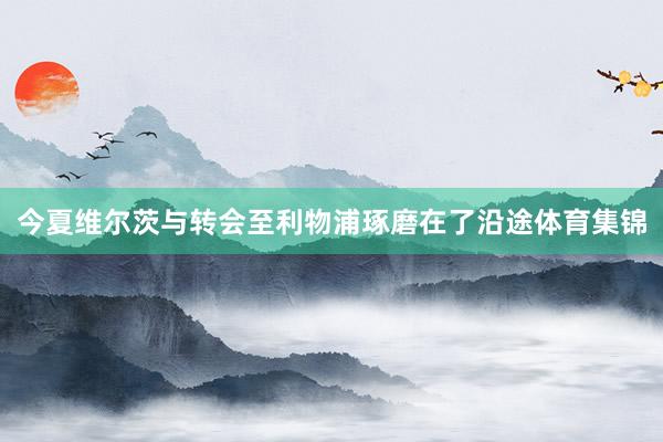 今夏维尔茨与转会至利物浦琢磨在了沿途体育集锦