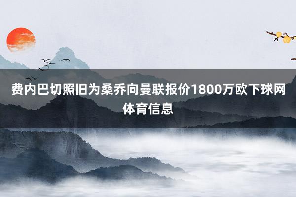 费内巴切照旧为桑乔向曼联报价1800万欧下球网体育信息