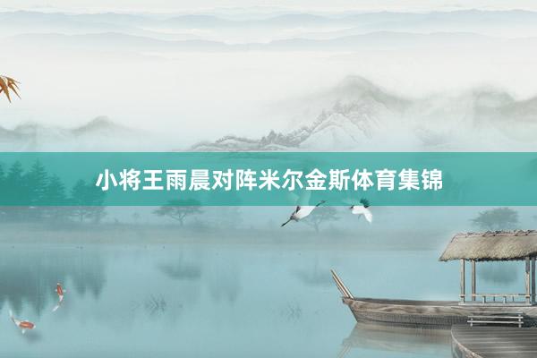 小将王雨晨对阵米尔金斯体育集锦