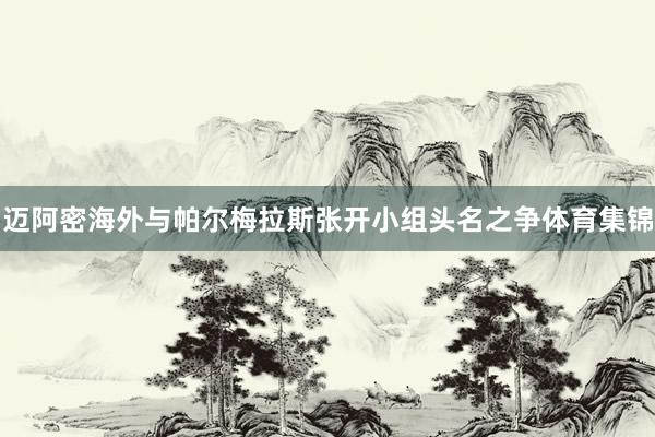 迈阿密海外与帕尔梅拉斯张开小组头名之争体育集锦