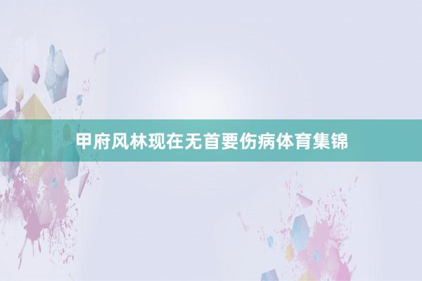甲府风林现在无首要伤病体育集锦