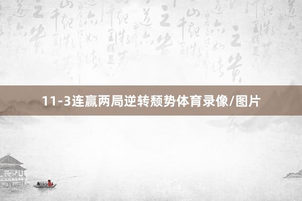 11-3连赢两局逆转颓势体育录像/图片