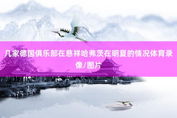 几家德国俱乐部在慈祥哈弗茨在明夏的情况体育录像/图片