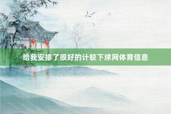 给我安排了很好的计较下球网体育信息
