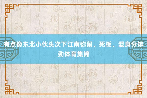 有点像东北小伙头次下江南弥留、死板、混身分辩劲体育集锦