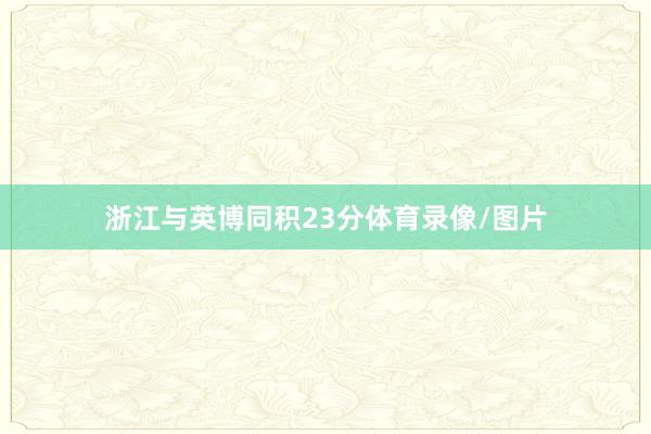 浙江与英博同积23分体育录像/图片