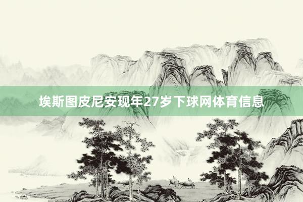 埃斯图皮尼安现年27岁下球网体育信息