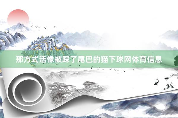 那方式活像被踩了尾巴的猫下球网体育信息
