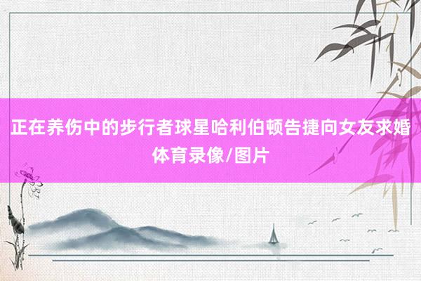 正在养伤中的步行者球星哈利伯顿告捷向女友求婚体育录像/图片