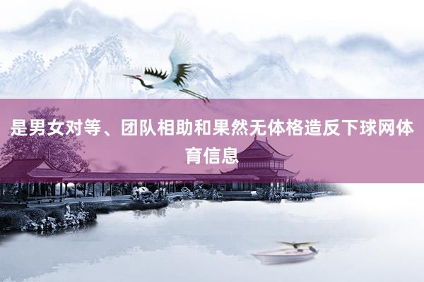 是男女对等、团队相助和果然无体格造反下球网体育信息