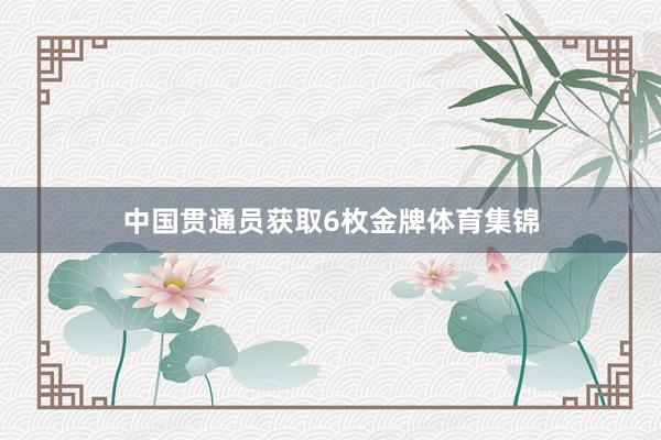 中国贯通员获取6枚金牌体育集锦