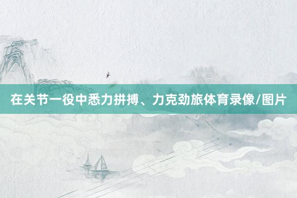 在关节一役中悉力拼搏、力克劲旅体育录像/图片