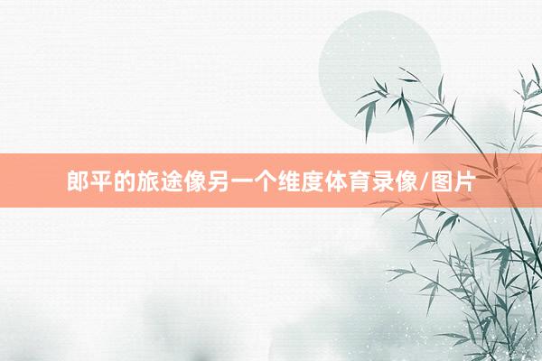 郎平的旅途像另一个维度体育录像/图片