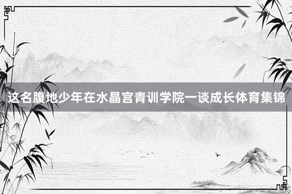 这名腹地少年在水晶宫青训学院一谈成长体育集锦
