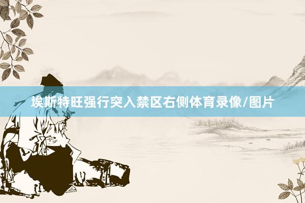 埃斯特旺强行突入禁区右侧体育录像/图片