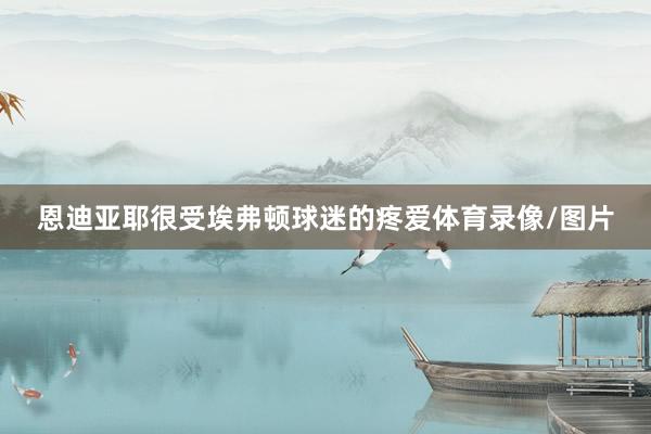恩迪亚耶很受埃弗顿球迷的疼爱体育录像/图片