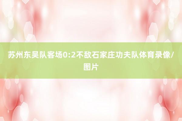 苏州东吴队客场0:2不敌石家庄功夫队体育录像/图片